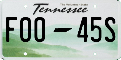 TN license plate F0045S