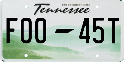 TN license plate F0045T
