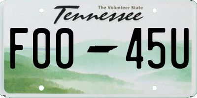 TN license plate F0045U
