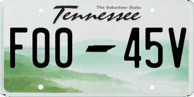 TN license plate F0045V