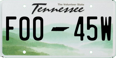TN license plate F0045W
