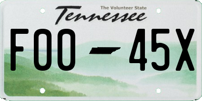 TN license plate F0045X