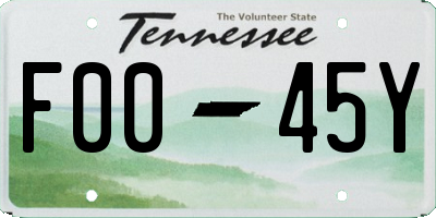 TN license plate F0045Y