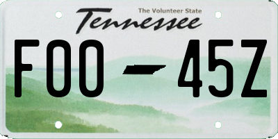 TN license plate F0045Z