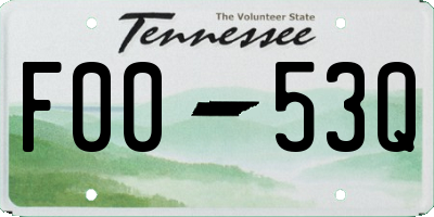 TN license plate F0053Q