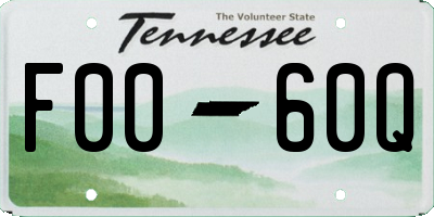 TN license plate F0060Q