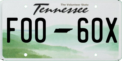 TN license plate F0060X