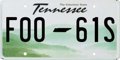 TN license plate F0061S