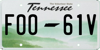 TN license plate F0061V