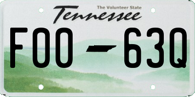 TN license plate F0063Q