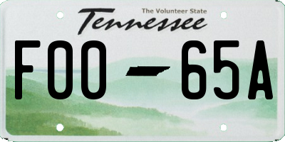 TN license plate F0065A