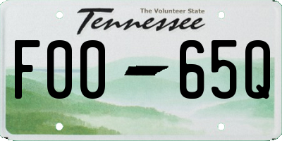 TN license plate F0065Q