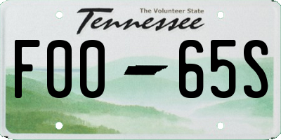 TN license plate F0065S
