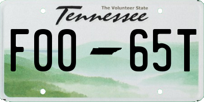 TN license plate F0065T