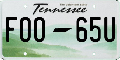 TN license plate F0065U
