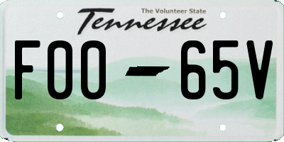 TN license plate F0065V