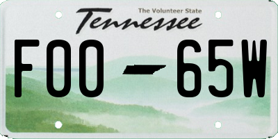 TN license plate F0065W
