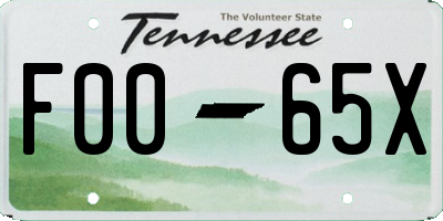 TN license plate F0065X