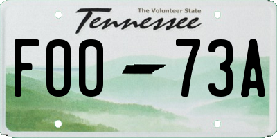 TN license plate F0073A