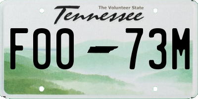 TN license plate F0073M