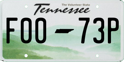 TN license plate F0073P