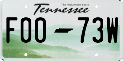 TN license plate F0073W