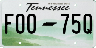 TN license plate F0075Q