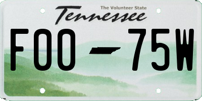 TN license plate F0075W