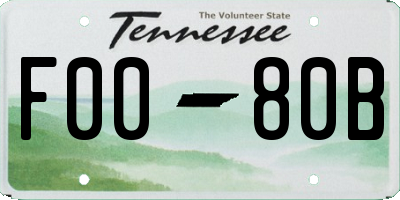 TN license plate F0080B