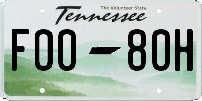 TN license plate F0080H