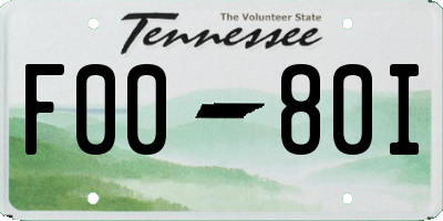 TN license plate F0080I
