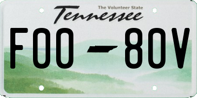 TN license plate F0080V