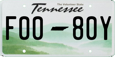 TN license plate F0080Y