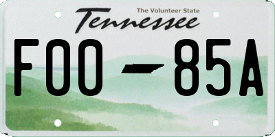 TN license plate F0085A