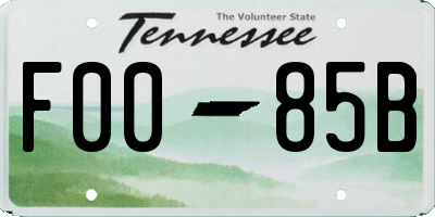 TN license plate F0085B