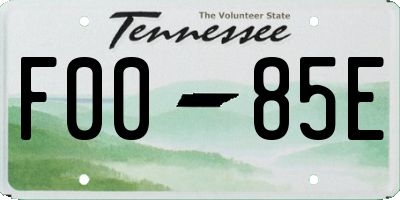 TN license plate F0085E