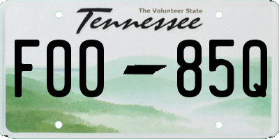TN license plate F0085Q