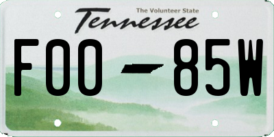 TN license plate F0085W