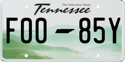 TN license plate F0085Y