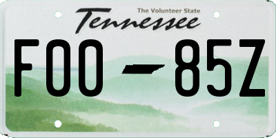 TN license plate F0085Z