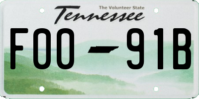 TN license plate F0091B