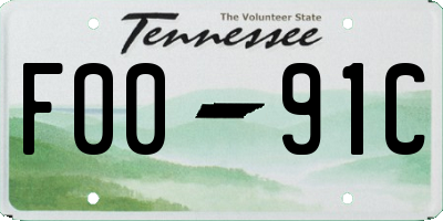 TN license plate F0091C
