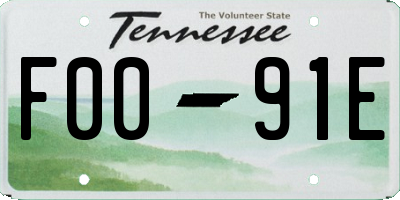 TN license plate F0091E
