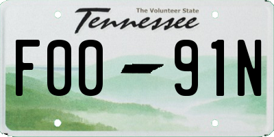 TN license plate F0091N