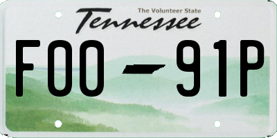 TN license plate F0091P