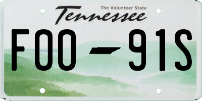 TN license plate F0091S
