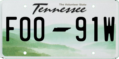 TN license plate F0091W