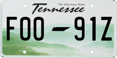 TN license plate F0091Z