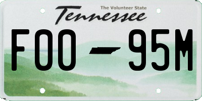 TN license plate F0095M