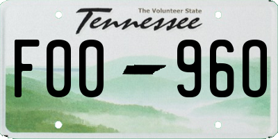 TN license plate F0096O